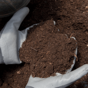 Zelf levende compost maken
